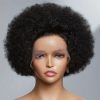 Brazilian Lace Frontal Afro Wig