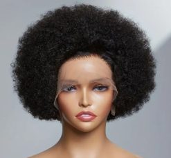 Brazilian Lace Frontal Afro Wig